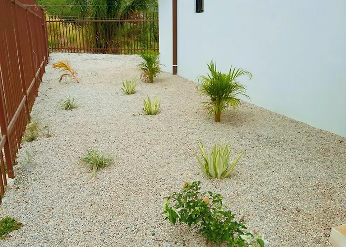 Casa Flores Ocean View 10 Min To Carrillo *